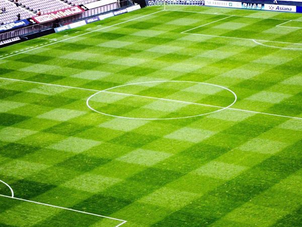 足球場(chǎng)人工草坪